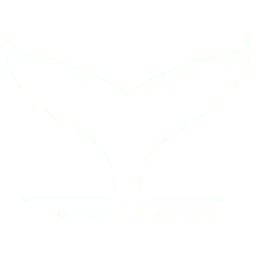 Transerfer.com Logo