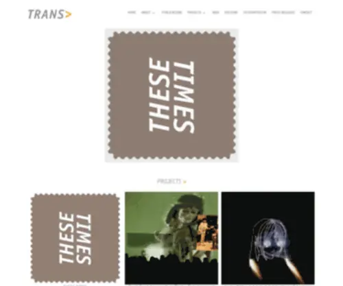 Transmag.org(Trans Magazine) Screenshot
