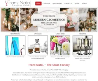 Transnatal.co.za(Transnatal) Screenshot