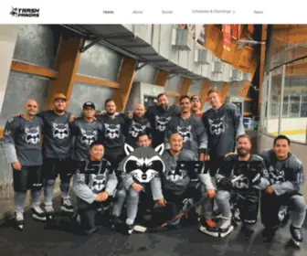 Trashpandashockey.com(A Southern California based recreational ice hockey team) Screenshot