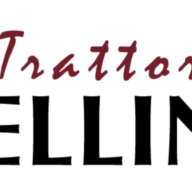 Trattoria-Bellini.de Favicon