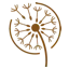 Trauerhilfe-Beer.at Favicon
