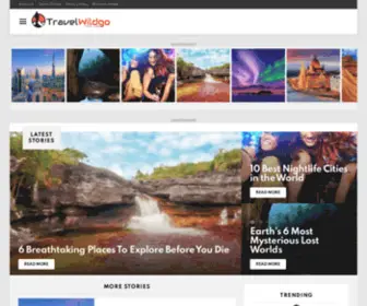 Travelwildgo.com(IIS Windows Server) Screenshot