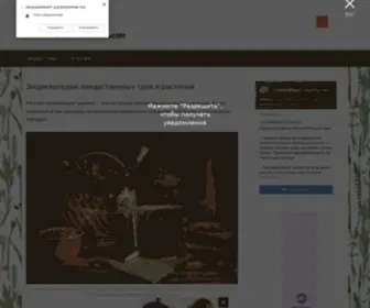 Travniku.com(The premium domain name) Screenshot