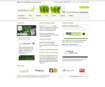 Trawkastudio.pl(Tworzenie stron www) Screenshot