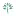 Treant.co.jp Favicon