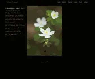 Treehuggerimages.com(Nature photography) Screenshot