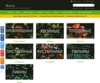 Treeseed.ru(Treeseed) Screenshot