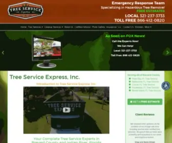 Treeserviceexpress.com(Tree Service Express) Screenshot