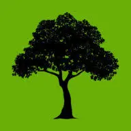 Treeserviceofsanantonio.com Favicon