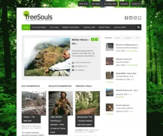 Treesouls.com(treesouls) Screenshot