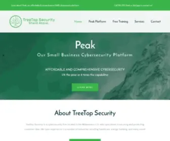 Treetopsecurity.com(TreeTop Security) Screenshot