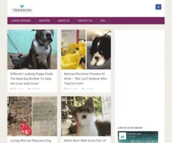 Trendish.com(Trendish) Screenshot