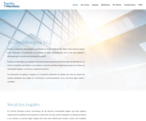 Trevinomendoza.com(Treviño Mendoza Lawyers) Screenshot