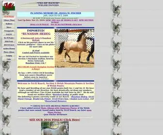 Tri-Efwelshponies.com(Tri-Ef Ranch Welsh Pony) Screenshot