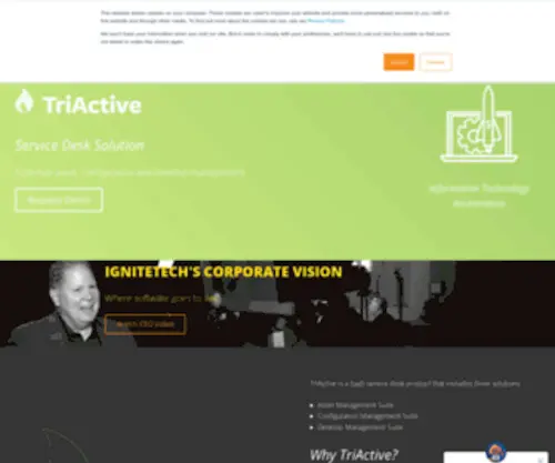 Triactive.com(Cloud-based IT Systems Management Solutions) Screenshot