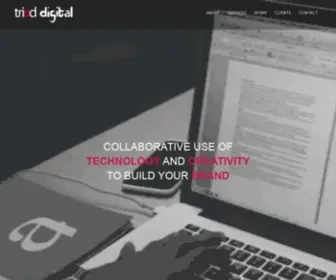 Triaddigi.com(Triad Digital) Screenshot