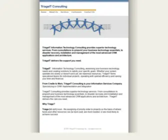 Triageit.com(TriageIT Consulting) Screenshot