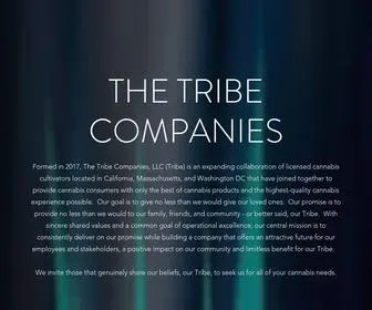 Tribecypher.com(The Tribe Companies) Screenshot