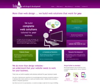Tribtec.ie(We build web solutions that work for YOU. We do more than design websites) Screenshot