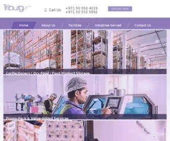 Triburg.com(Logistics Company in Dubai) Screenshot