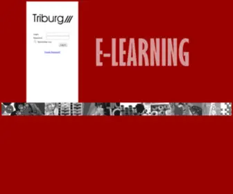 Triburglearning.com(Fashion Designing Institute Delhi) Screenshot