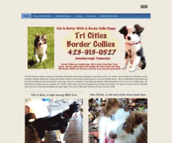 Tricitiesbordercollies.com(Border Collie Puppies For Sale In Tennessee) Screenshot