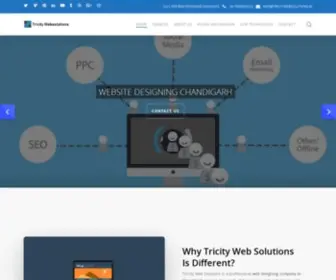 Tricitywebsolutions.in(TriCity web solutions) Screenshot