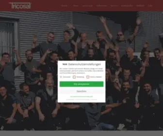 Tricosal.de(Willkommen bei der Tricosal Bauabdichtungs) Screenshot