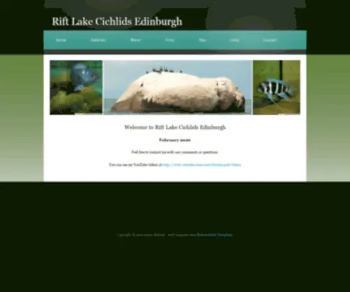 Tricoti.co.uk(Rift lake cichlids edinburgh) Screenshot