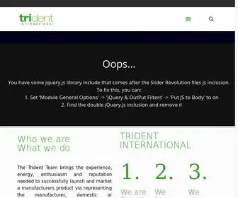 Trident-International.com(Trndent International) Screenshot