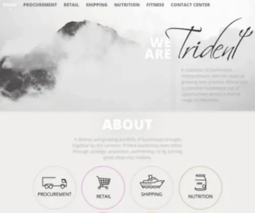 Trident-Investments.com(Trident Investments) Screenshot