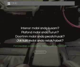 Tridicarinterior.com(Tridi Car Interior) Screenshot