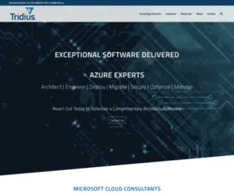 Tridius.co(Information technology) Screenshot