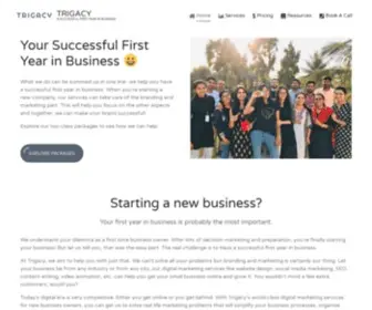 Trigacy.com(Your Successful First Year in Business with Trigacy) Screenshot