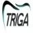 Trigainstrumentos.com.br Favicon