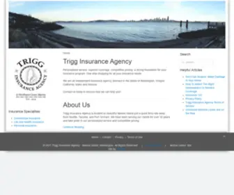 Trigginsurance.com(Trigg Insurance Agency) Screenshot