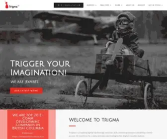 Trigma.com(Leading Custom Software Development & Consulting Company) Screenshot