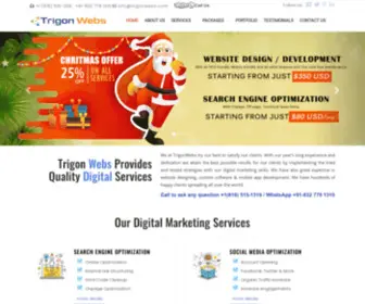 Trigonwebs.com(SEO & Web Design Development Company USA) Screenshot