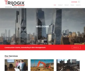 Trilogixllc.com(TriLogix Consulting LLC) Screenshot