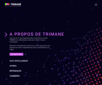 Trimane.fr(Expert BI et Big Data) Screenshot