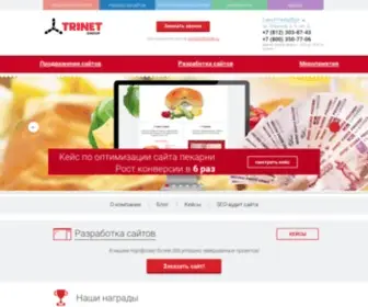 Trinet.ru(Оптимизация и продвижение сайтов в поисковых системах) Screenshot
