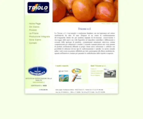 Triolosrl.it(Tricom s.r.l) Screenshot