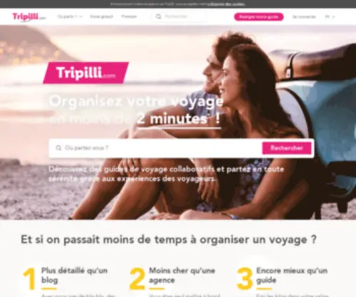 Tripilli.com(Tripilli) Screenshot