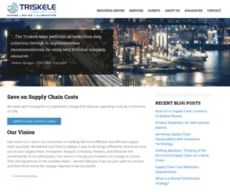 Triskelogi.com(Supply Chain Consultants Canada) Screenshot