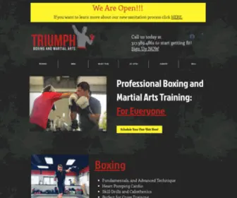 Triumphboxingma.com(Triumph Boxing & Martial Arts) Screenshot