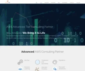 Triumphtech.com(Triumph Technology Solutions) Screenshot