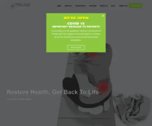 Triunetherapy.ca(Triune physiotherapy in hamilton) Screenshot