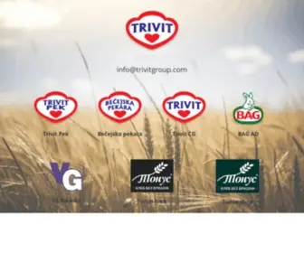 Trivitgroup.com(Trivit) Screenshot