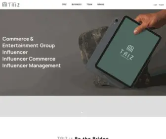 Triz-Group.com(트리즈) Screenshot
